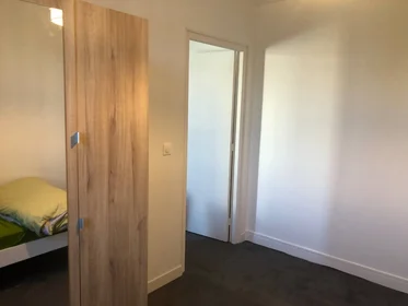 Habitación privada en Villeurbanne, 69100, imagen 15 de 19