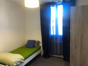 Habitación privada en Villeurbanne, 69100, imagen 17 de 19