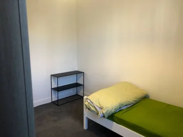 Habitación privada en Villeurbanne, 69100, imagen 18 de 19