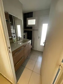 Habitación privada en Villeurbanne, 69100, imagen 8 de 19