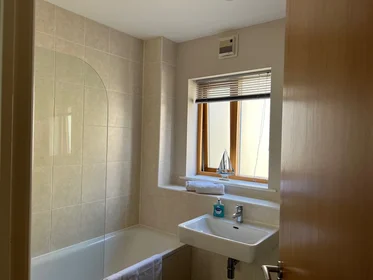 Appartamento intero in 11 Samson and Hercules Court, immagine 4 di 11