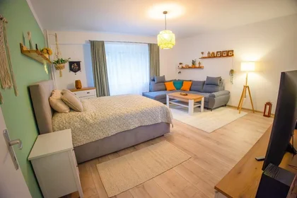 Logement entier à Šancová 63, image 22 de 30