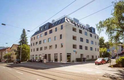 整套公寓 在 Schaffhauserstrasse 210, 8057 Zürich, Schweiz, 47的图像1