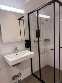 整套公寓 在 Schaffhauserstrasse 210, 8057 Zürich, Schweiz, 47的图像19