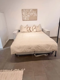 整套公寓 在 Schaffhauserstrasse 210, 8057 Zürich, Schweiz, 47的图像38