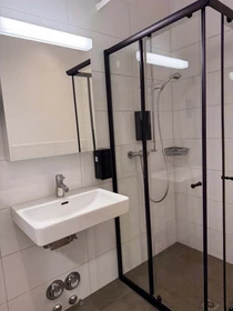 整套公寓 在 Schaffhauserstrasse 210, 8057 Zürich, Schweiz, 47的图像10