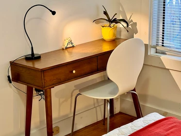 Alojamiento entero en residencia en 1, Torpie St., Unit 1, Mission Hill, Boston, MA, 02120, imagen 13 de 21
