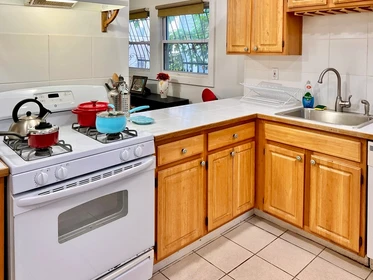 Alojamiento entero en residencia en 1, Torpie St., Unit 1, Mission Hill, Boston, MA, 02120, imagen 5 de 21