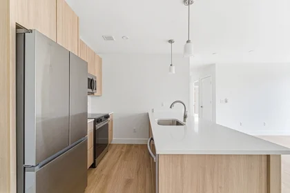 Entire place in residence at 1035, Commonwealth Ave., Unit 310, Allston, Boston, MA, 02215, image 14 of 16