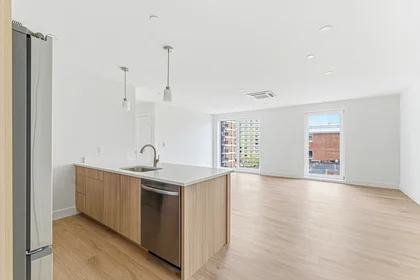 Entire place in residence at 1035, Commonwealth Ave., Unit 310, Allston, Boston, MA, 02215, image 7 of 16