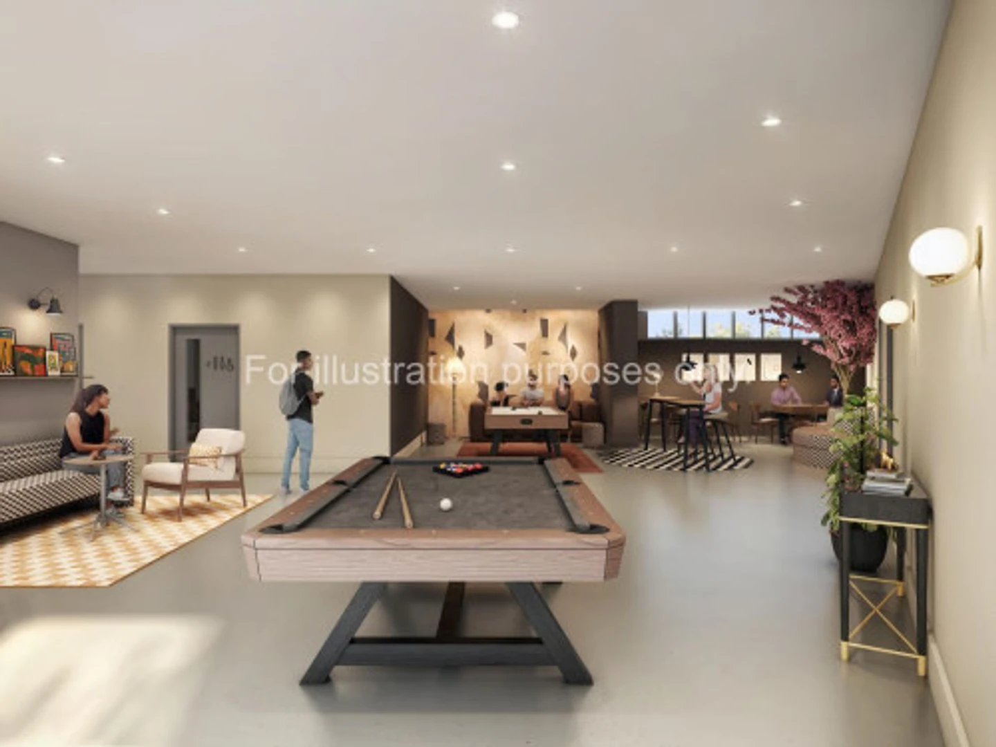 位于的学生友好型房间，设施现代