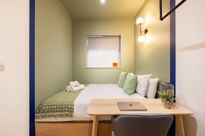 Entire apartment at City Garden Row 3, image 1 of 10