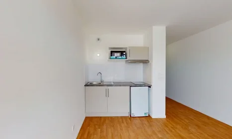 Entire apartment at Rue en Vieille Fourche, Université, image 3 of 10