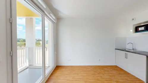 Entire apartment at Rue en Vieille Fourche, Université, image 4 of 10