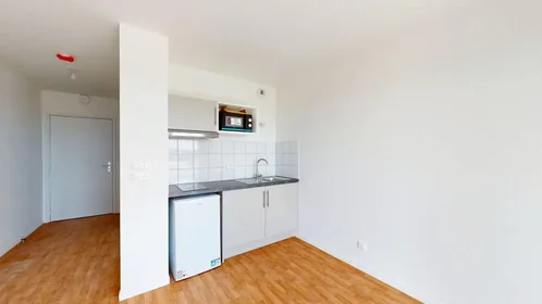 Entire apartment at Rue en Vieille Fourche, Université, image 1 of 10