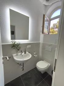 Privatzimmer in der Herrlachstraße, Neckarau, bild 9 von 10