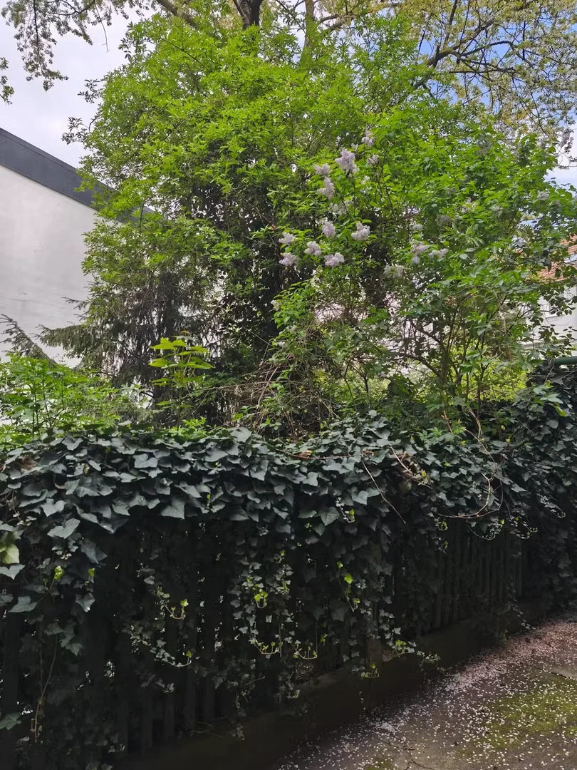 Chambre d'étudiant à avec espace d'étude et installations communes