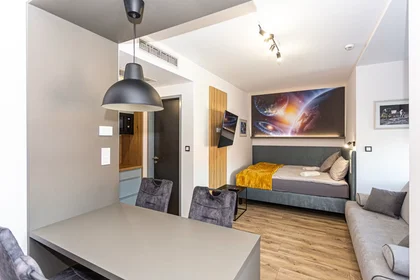 Apartamento inteiro em Rákóczi út, Belváros, imagem 10 de 10