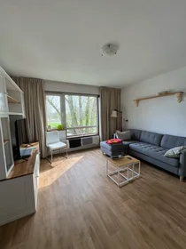Appartamento intero in Louis Davidsstraat, Amsterdam Nieuw-West, immagine 3 di 10
