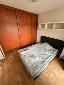 Appartamento intero in Louis Davidsstraat, Amsterdam Nieuw-West, immagine 6 di 10