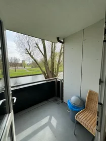 Entire apartment at Louis Davidsstraat, Amsterdam Nieuw-West, image 7 of 10