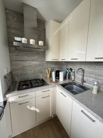 Appartamento intero in Louis Davidsstraat, Amsterdam Nieuw-West, immagine 8 di 10