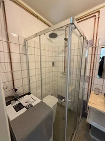 Appartamento intero in Louis Davidsstraat, Amsterdam Nieuw-West, immagine 9 di 10