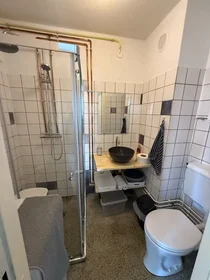 Entire apartment at Louis Davidsstraat, Amsterdam Nieuw-West, image 10 of 10