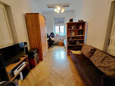 Özel oda konumu Elisabethinergasse, Gries, 1 10 görüntüsü