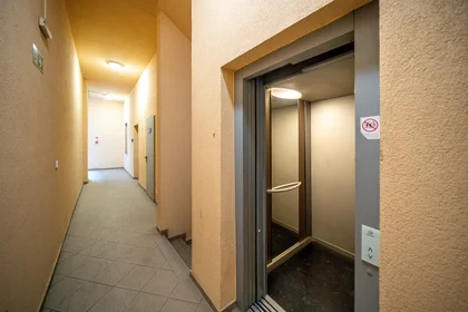 Gesamte Unterkunft in der Aradi utca, Budapest 6, bild 1 von 10