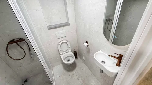 Całe miejsce Podplukovníka Sochora, Holešovice, obraz 3 10