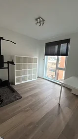 Apartamento inteiro em Zamenhofstraat, Regentessekwartier, imagem 5 de 10