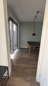 Gesamte Unterkunft in der Zamenhofstraat, Regentessekwartier, bild 7 von 10