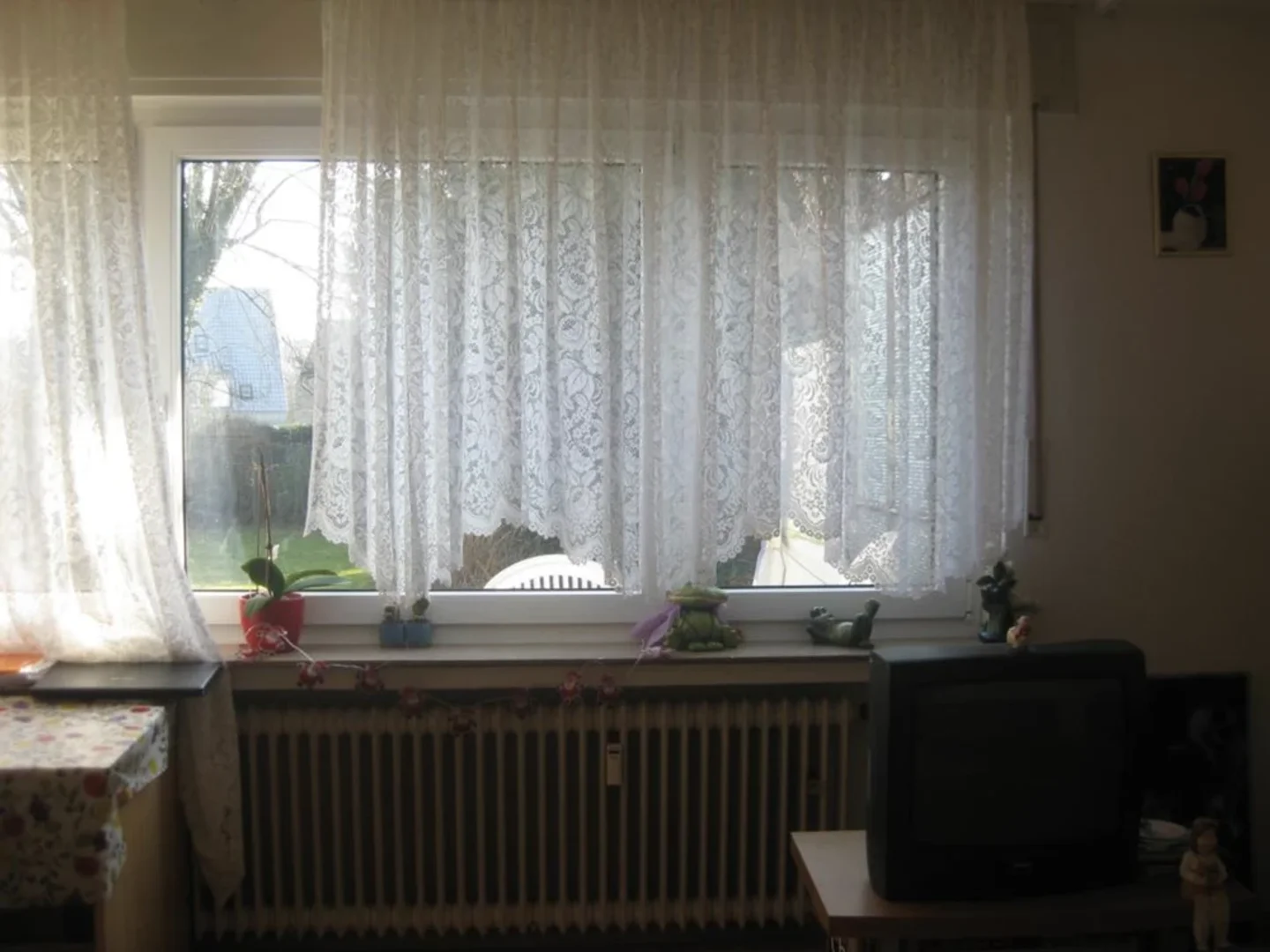 Ippendorfer Allee