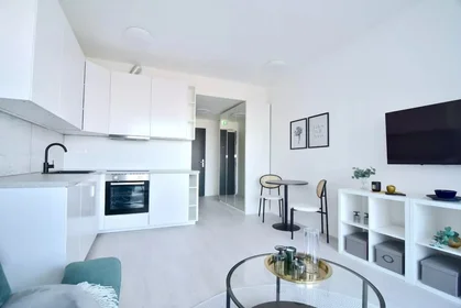Appartamento intero in Prístavná 205/1, immagine 2 di 15