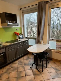 Stanza privata in Poitiers, 86000, immagine 16 di 49