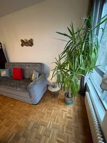 Stanza privata in Poitiers, 86000, immagine 4 di 49