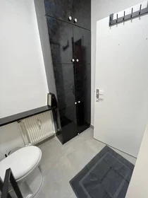 Stanza privata in Poitiers, 86000, immagine 31 di 49