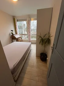 Stanza privata in Poitiers, 86000, immagine 32 di 49