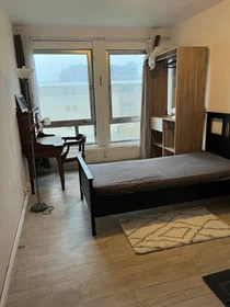 Stanza privata in Poitiers, 86000, immagine 37 di 49