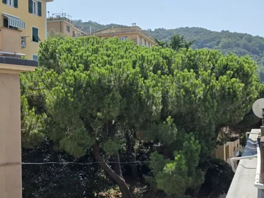 Gesamte Unterkunft in der Via Mansueto, Rivarolo Ligure, bild 2 von 10