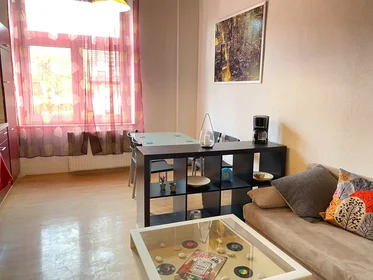 Apartamento inteiro em Sternbuschweg, Duisburg Mitte, imagem 1 de 6