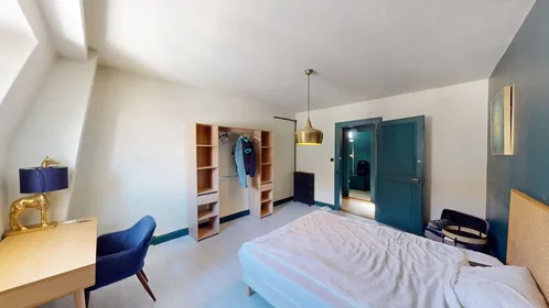 Prywatny pokój Avenue de Colmar, , obraz 4 10