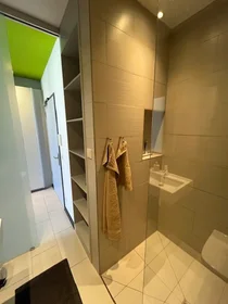 Apartamento inteiro em Paul-List-Straße, Mitte, imagem 9 de 10