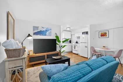 Gesamte Unterkunft in der Chestnut Street, Brookline Village, bild 1 von 10