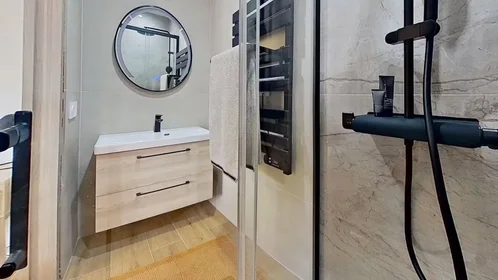 Habitación privada en Boulevard de Cessole, Saint-Sylvestre, imagen 8 de 10