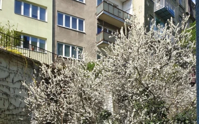 Stanza privata in Pekařská 32, immagine 15 di 16