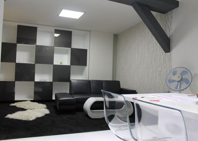 Appartamento con 2 camere da letto a Plzeň