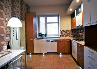 Stanza in affitto in appartamento condiviso a Brno