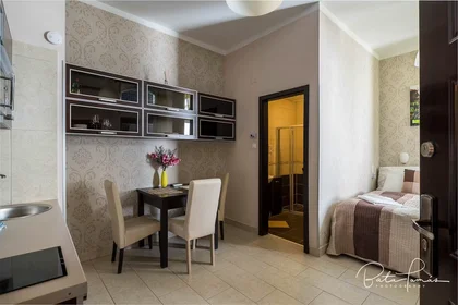 Apartamento inteiro em Váci utca, V. kerület, imagem 1 de 10